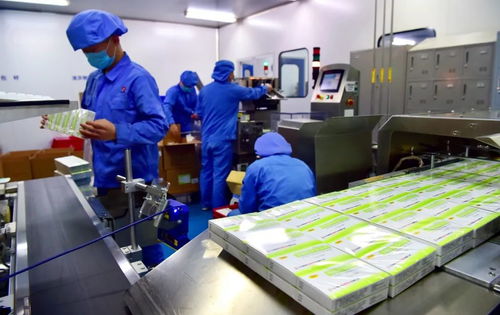 提振信心 石家莊兩家阿比多爾生產(chǎn)企業(yè)開(kāi)足馬力生產(chǎn)