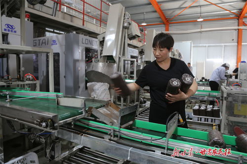 看 隴東糧倉(cāng) ,如何開啟農(nóng)業(yè)現(xiàn)代化新篇章