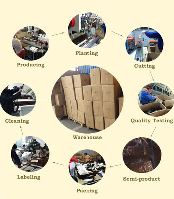 【塑料掃把 供應掃帚頭 廠家直銷 價格優(yōu)惠 外貿原單】價格,廠家,圖片,掃帚畚箕套裝,張家港英瑞實業(yè)-